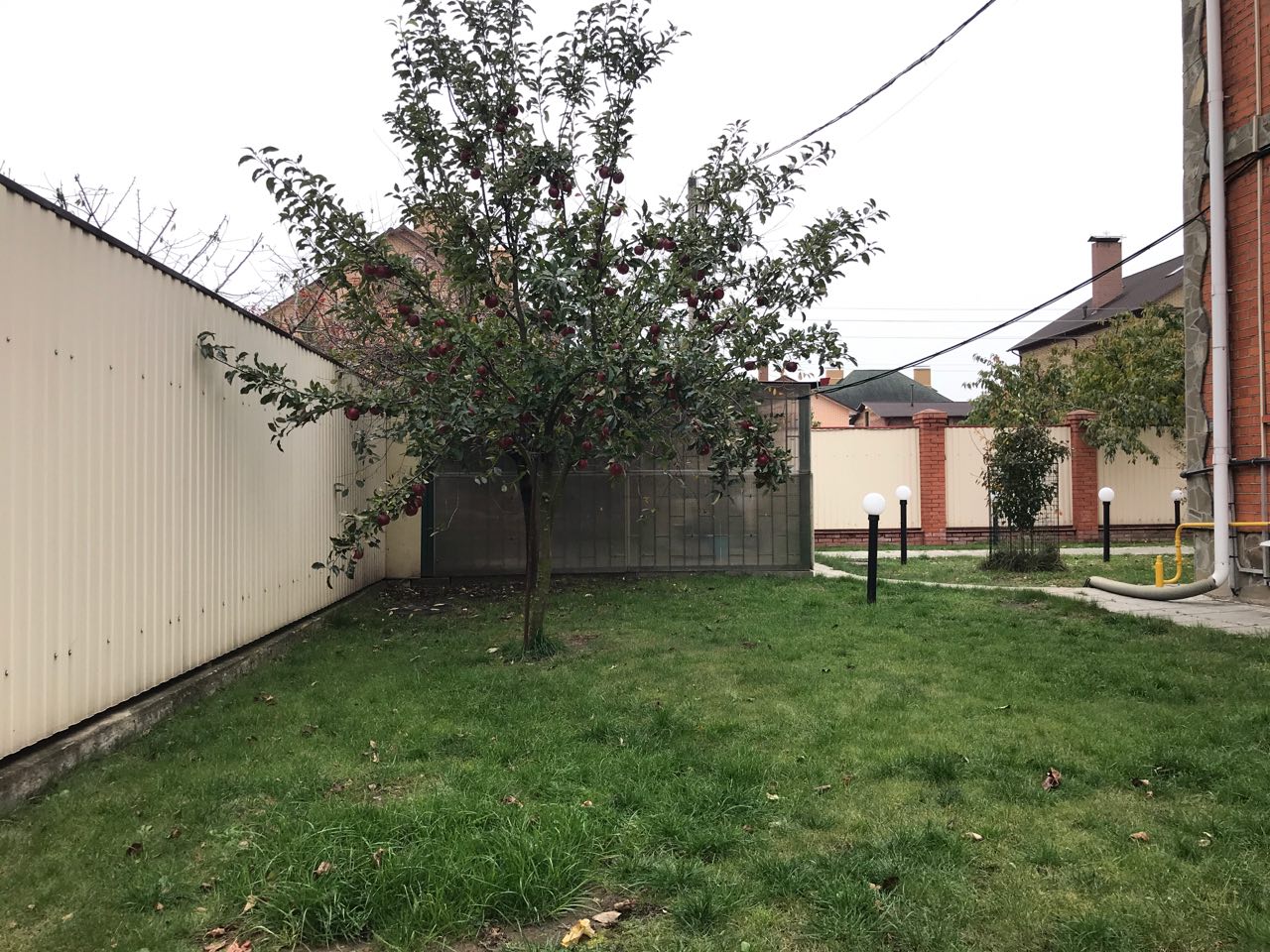 питомника садовых растений кольцово