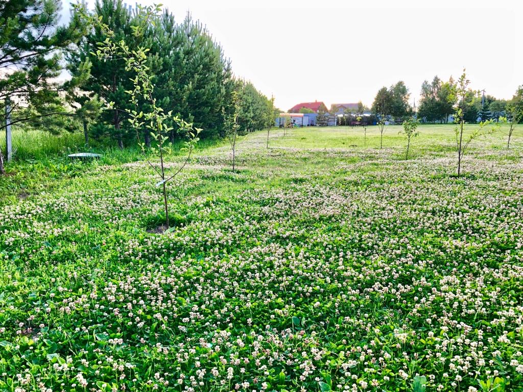 питомника садовых растений кольцово