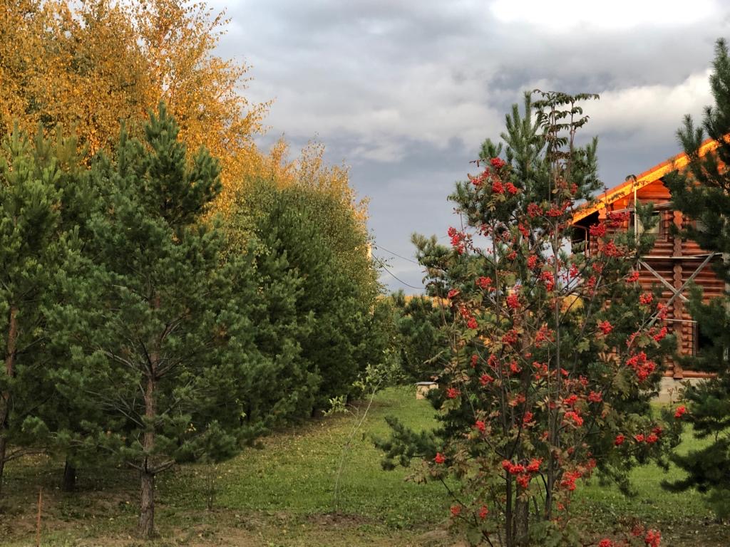 питомника садовых растений кольцово