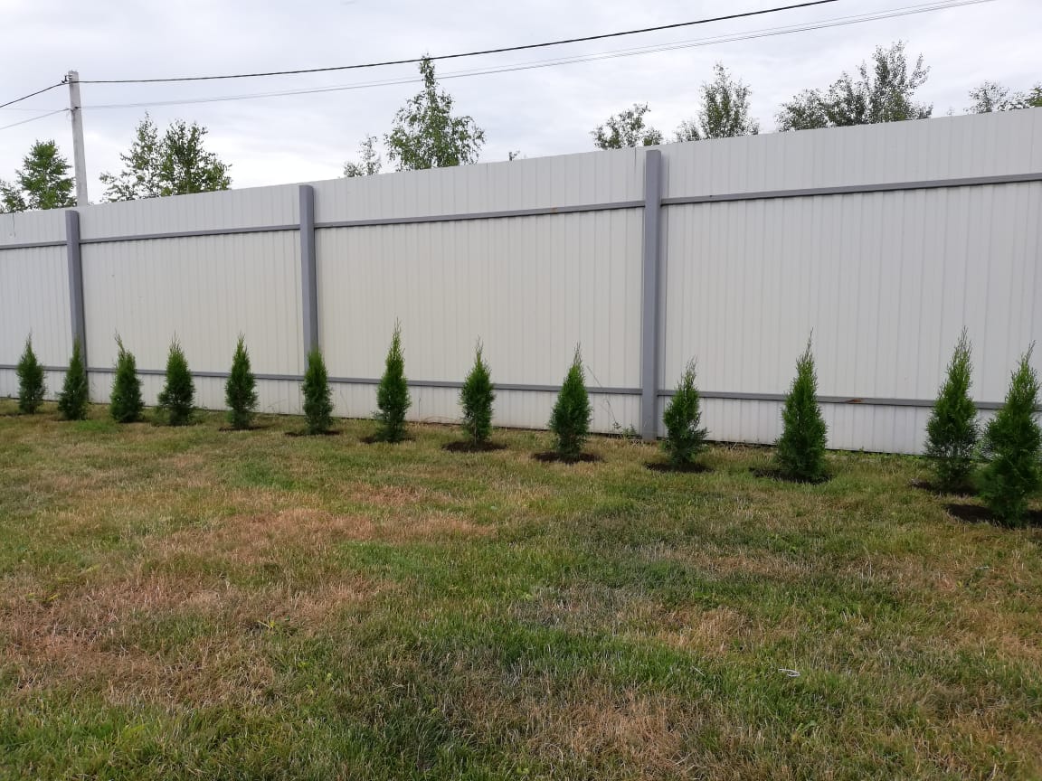 питомника садовых растений кольцово