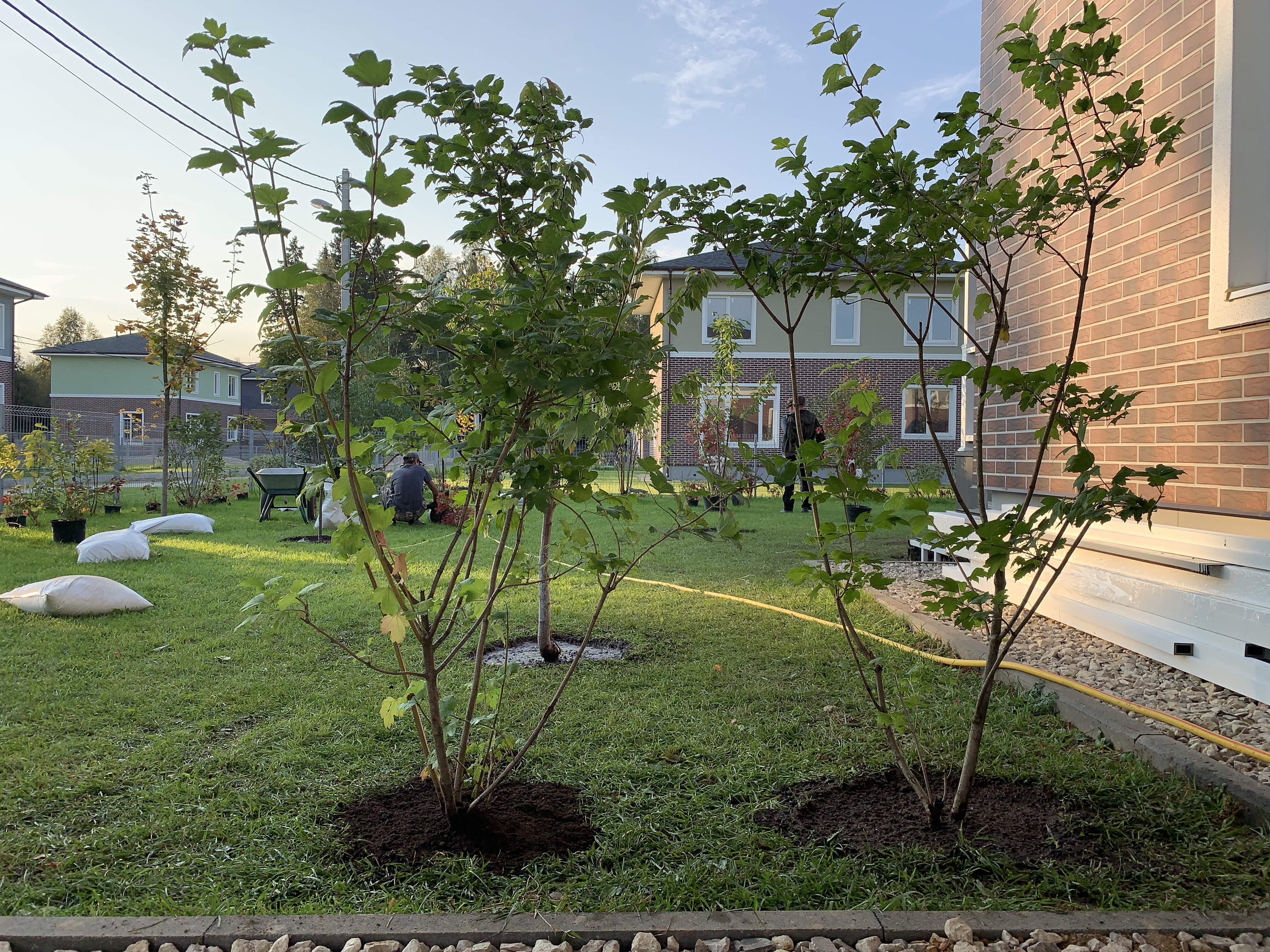 питомника садовых растений кольцово