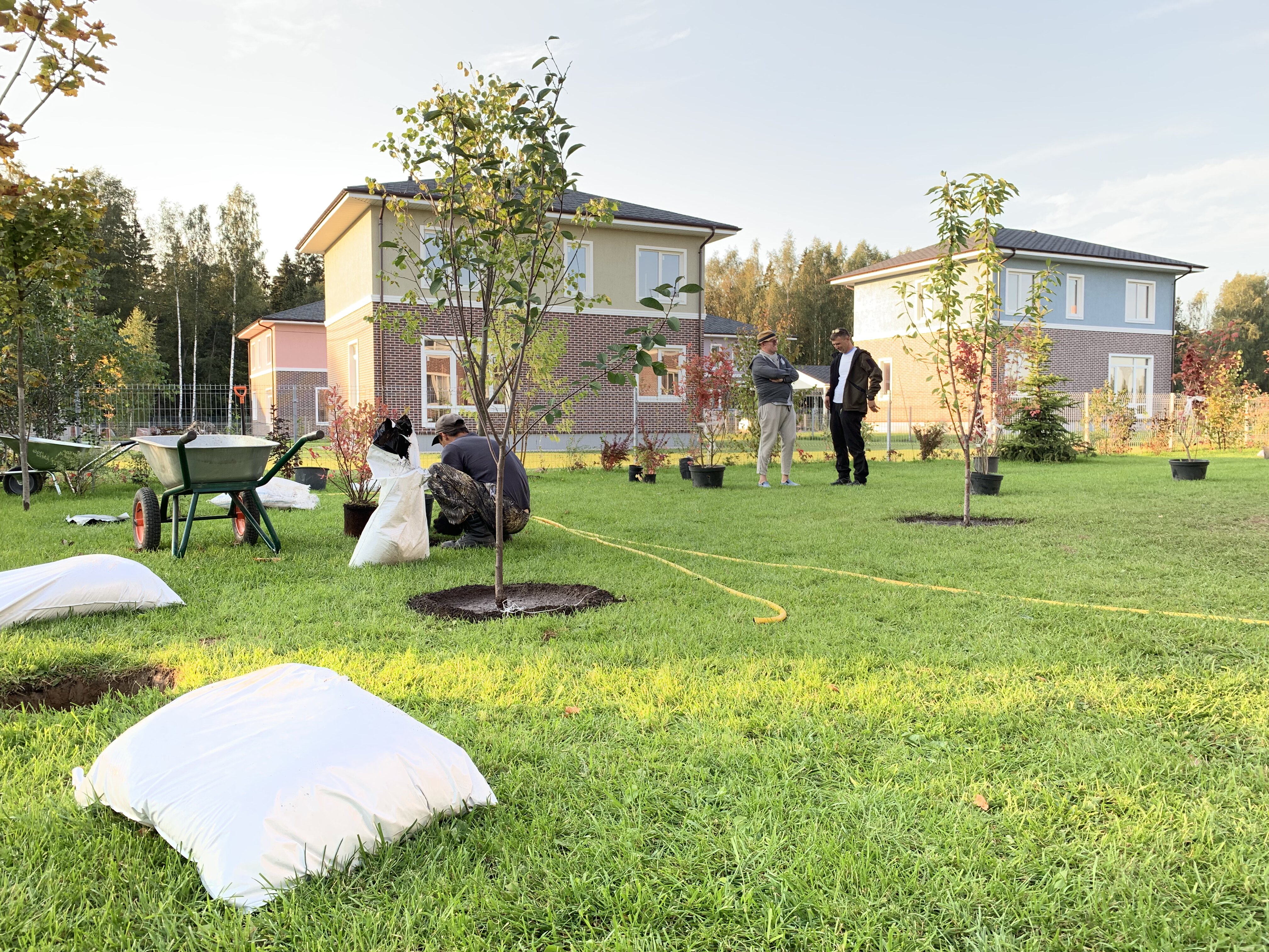 питомника садовых растений кольцово