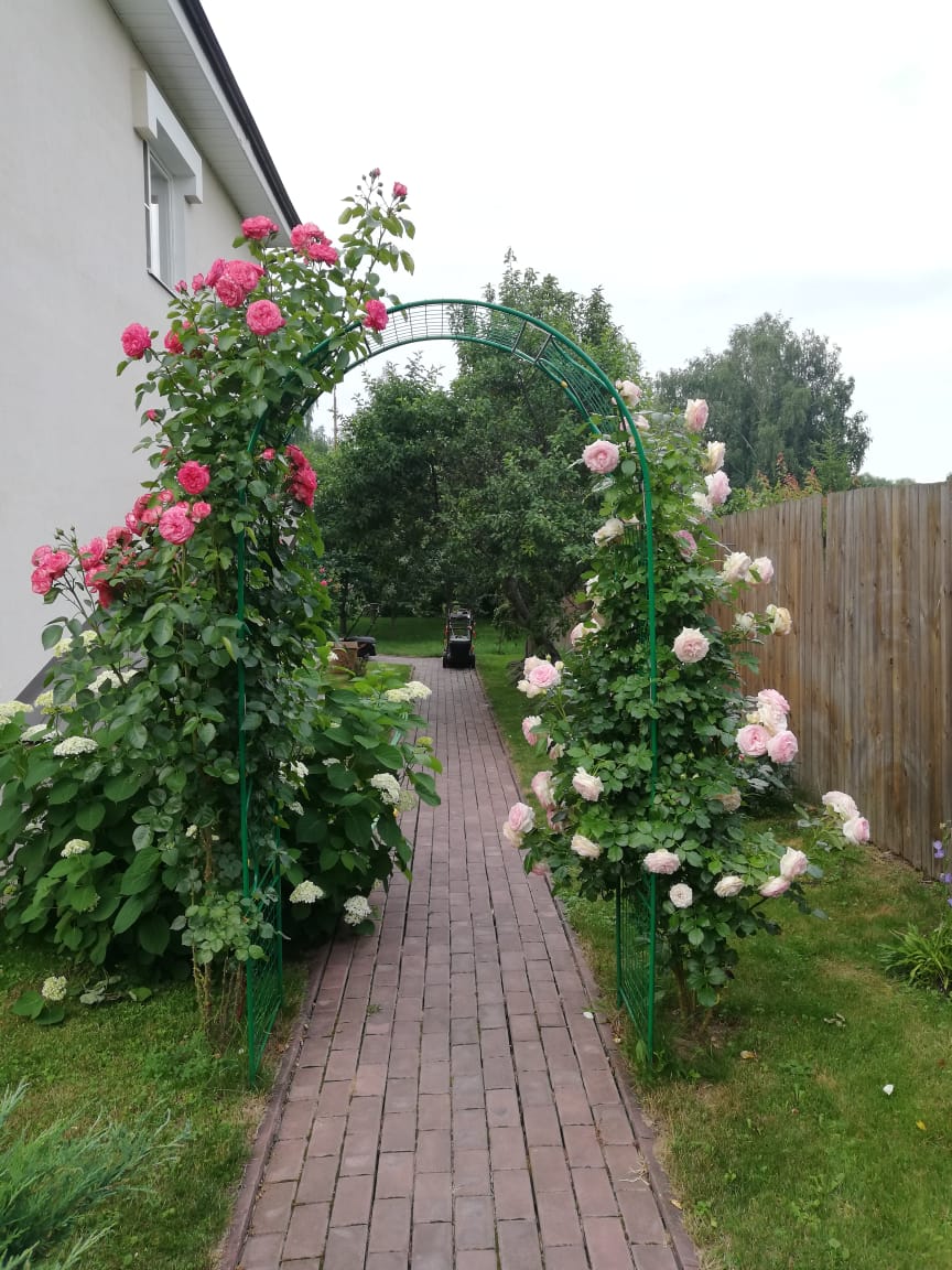 питомника садовых растений кольцово