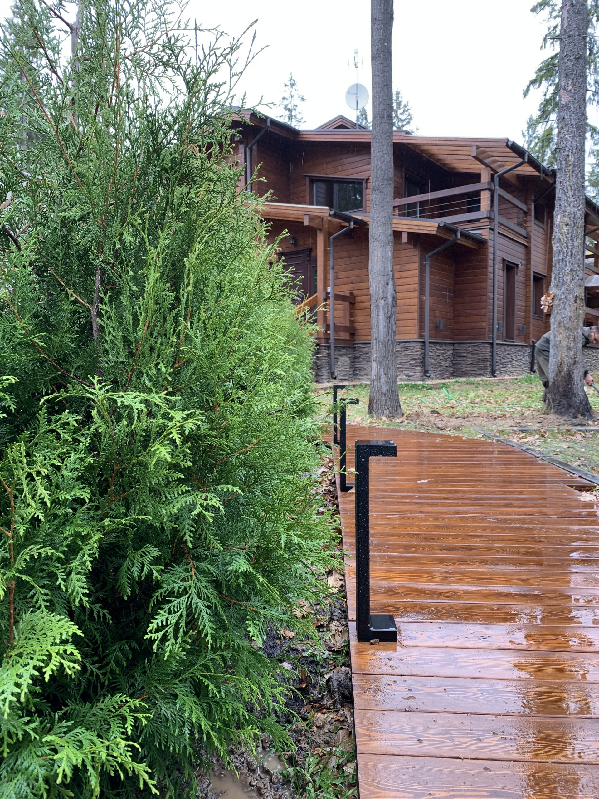 питомника садовых растений кольцово