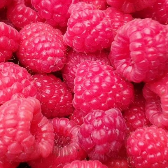 Купить саженцы ремонтантной малины 5 лет