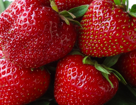 Ремонтантная Клубника Крапо