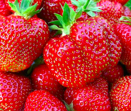 Клубника Дарселект