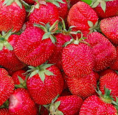Клубника Фестивальная