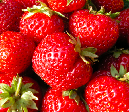 Клубника Мице Шиндлер