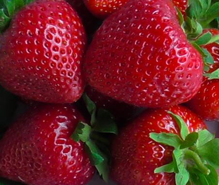 Ремонтантная Клубника Верити