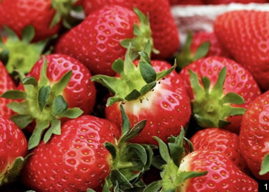 Клубника сандра