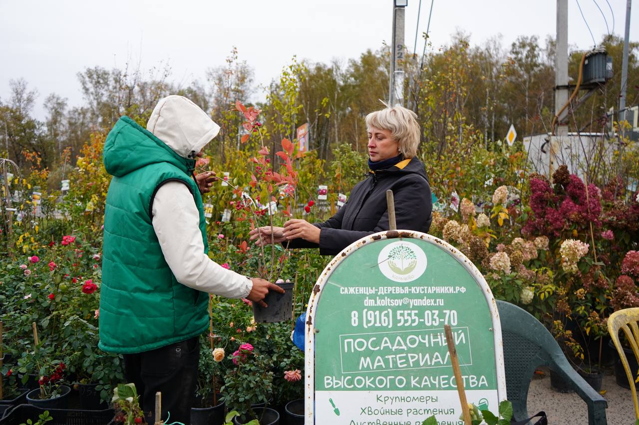 питомник кольцово