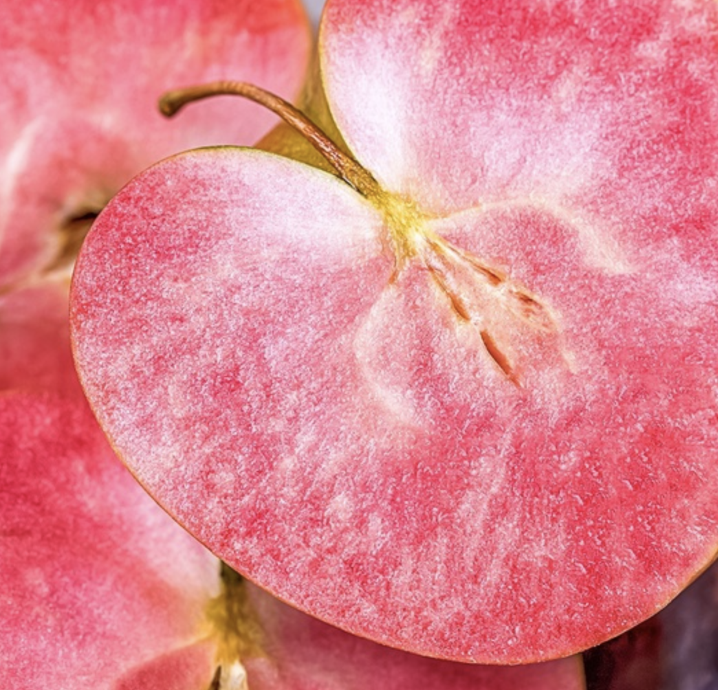 Купить саженцы яблони сорт цирцея