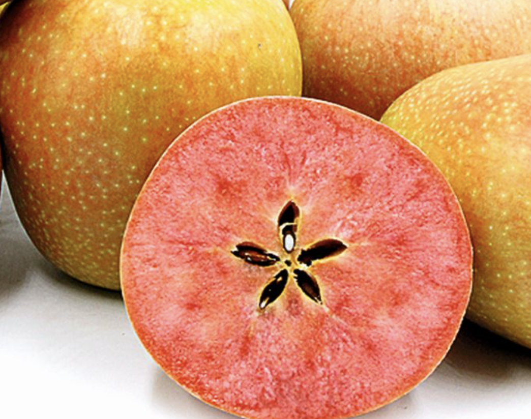 Купить саженцы яблони сорт Хидден Роз