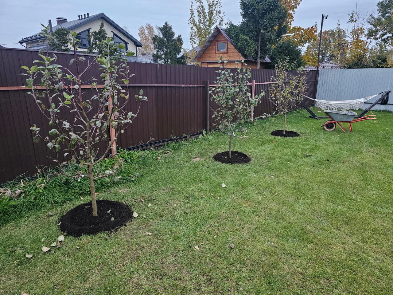 услуги по посадке деревьев и кустарников