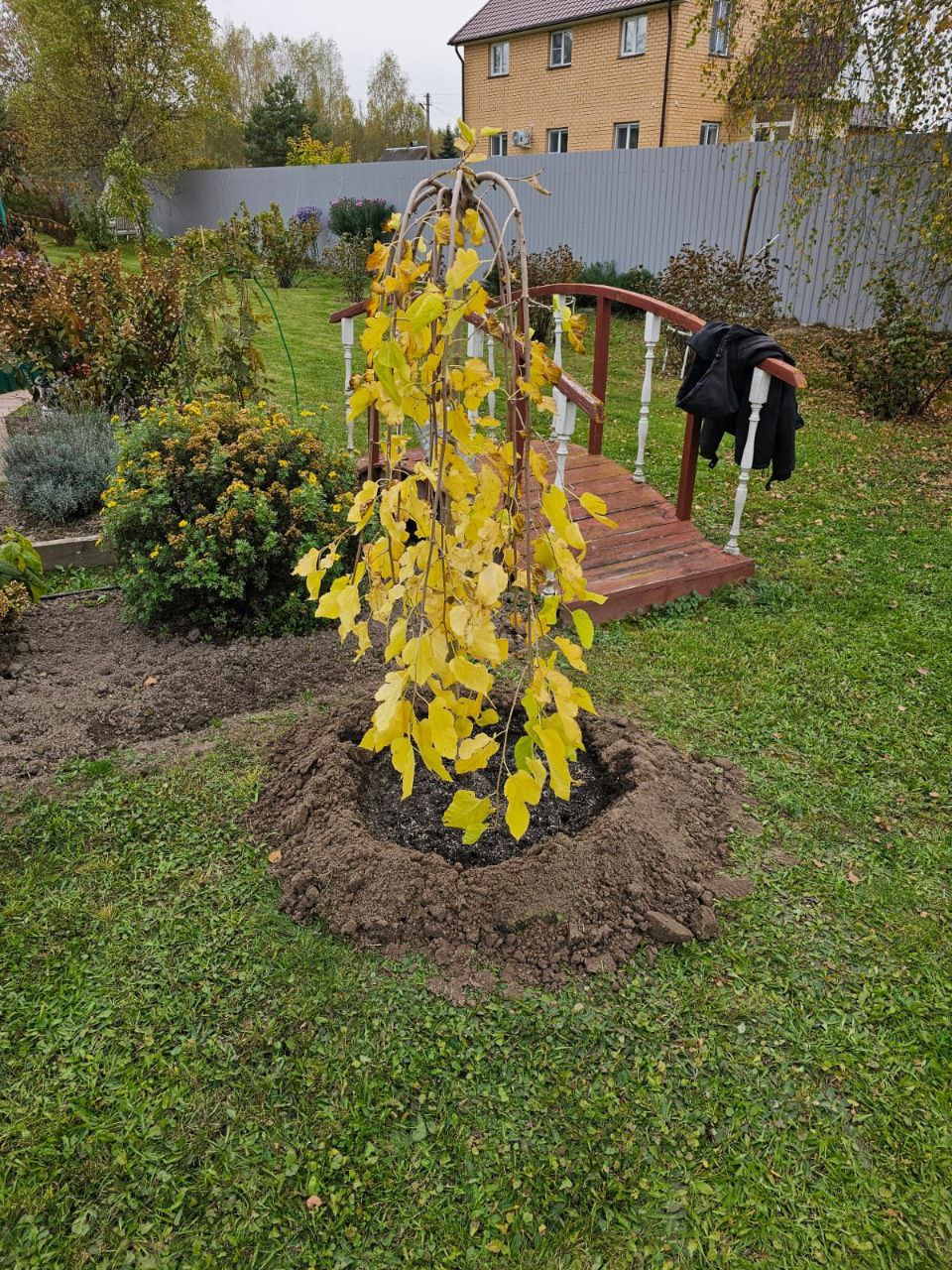 услуги по посадке деревьев и кустарников