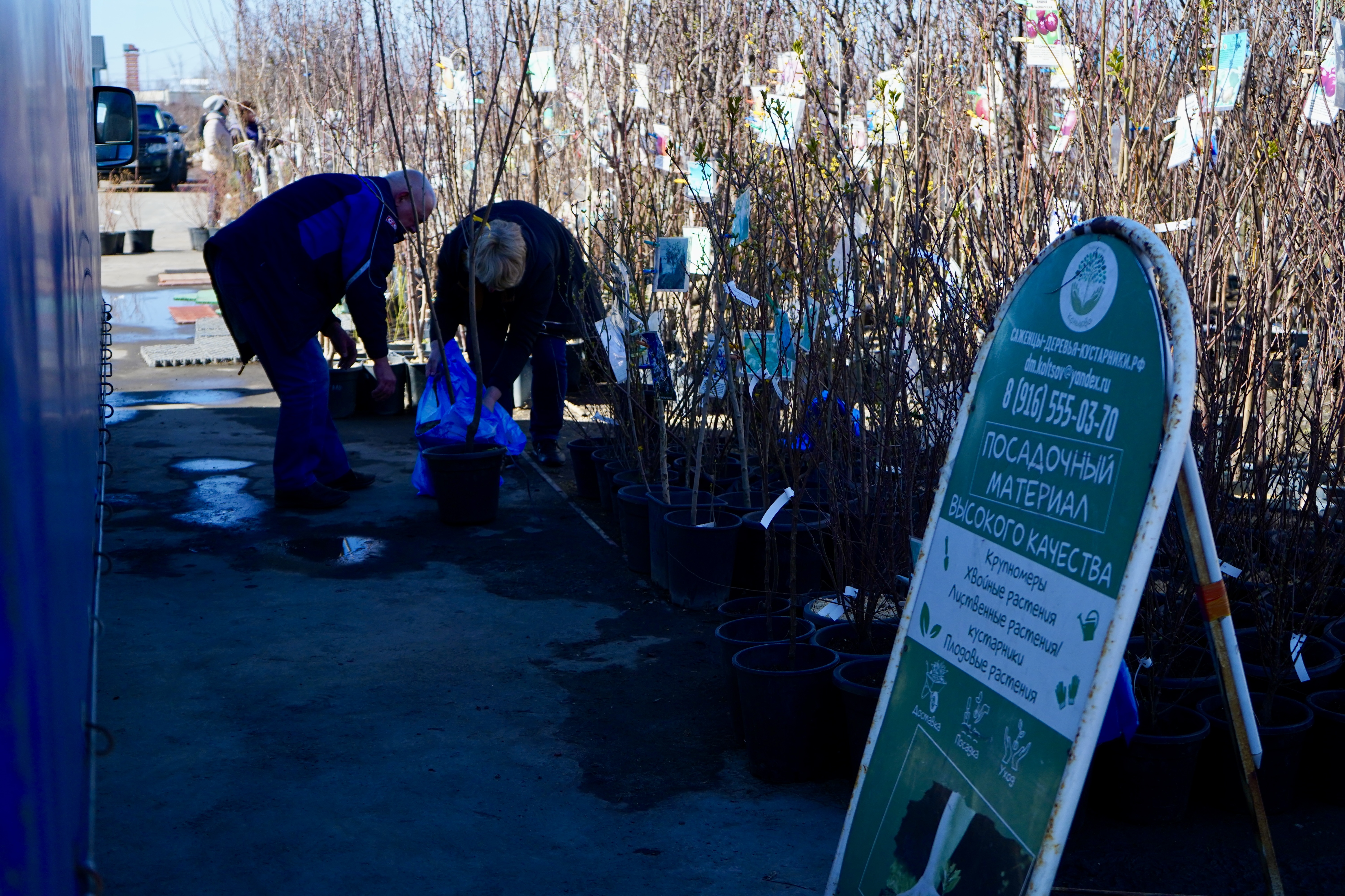 питомник кольцово